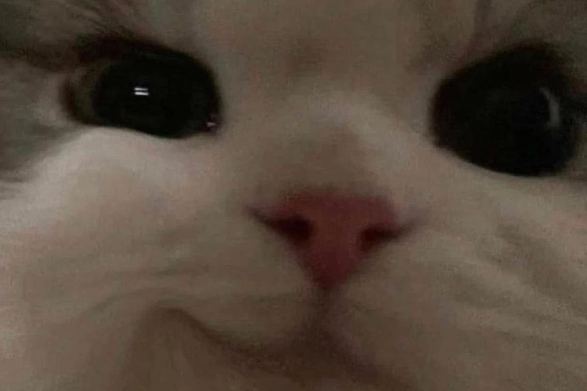 عکس انیمیشن های جذاب