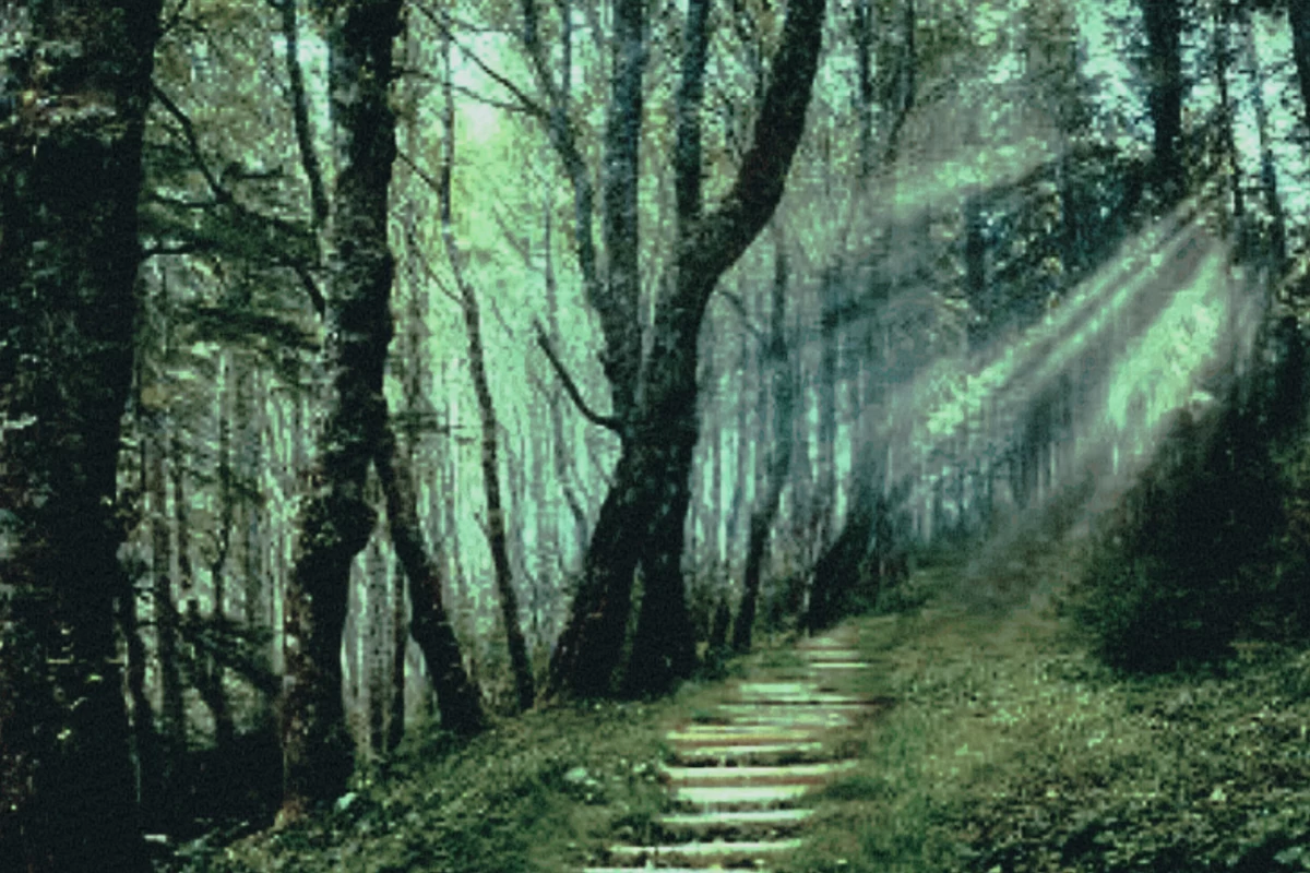 عکس 🏫: دختر ساکت مدرسه