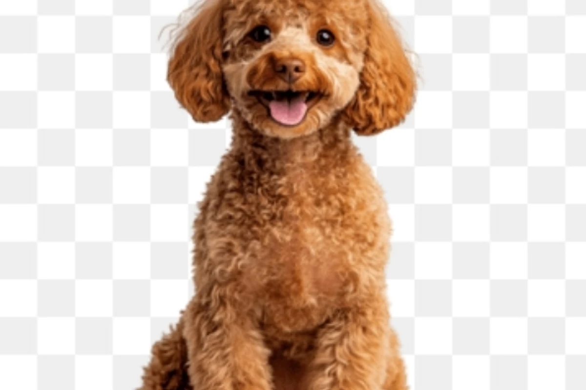 عکس x باش ولی آدم باش!