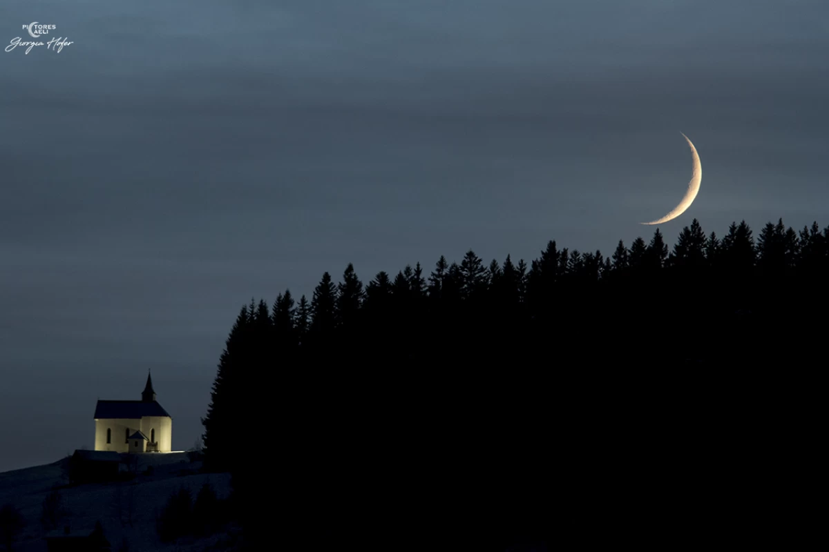 عکس چگونه یک نرد شویم؟