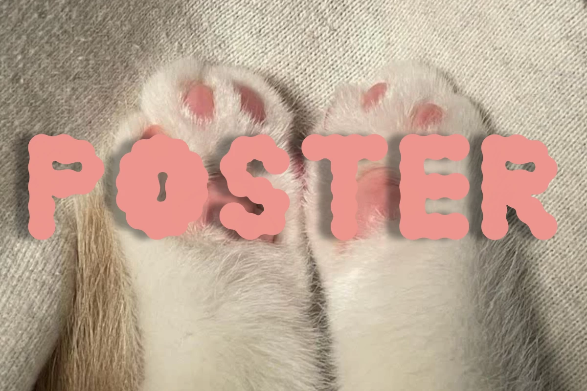 عکس 🍧::x حقش بود از y معروف تر بشه؟(آهنگ ver)