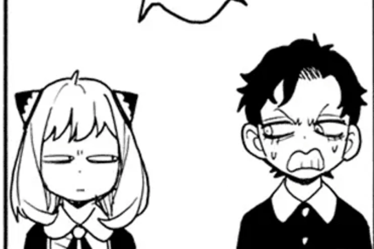 عکس میم خانواده جاسوس پارت ۳(مانگا ver)