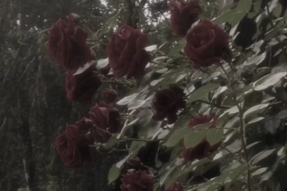 عکس تو فکر می‌کنی شیطان شاخ داره؟