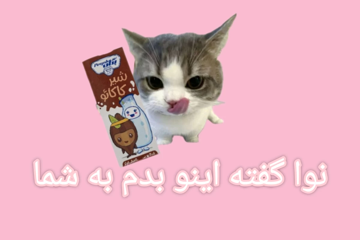 عکس 🌸:یک بلینک واقعی