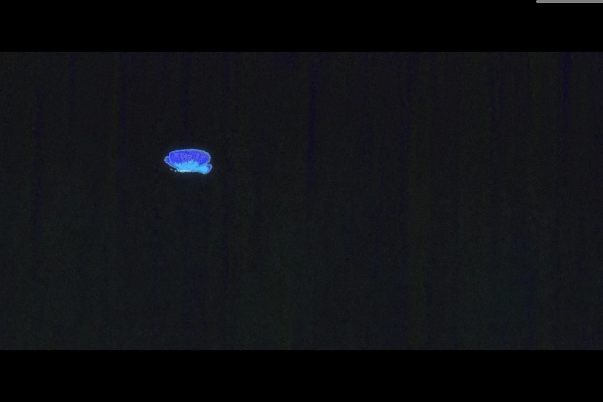 عکس یک عکس...