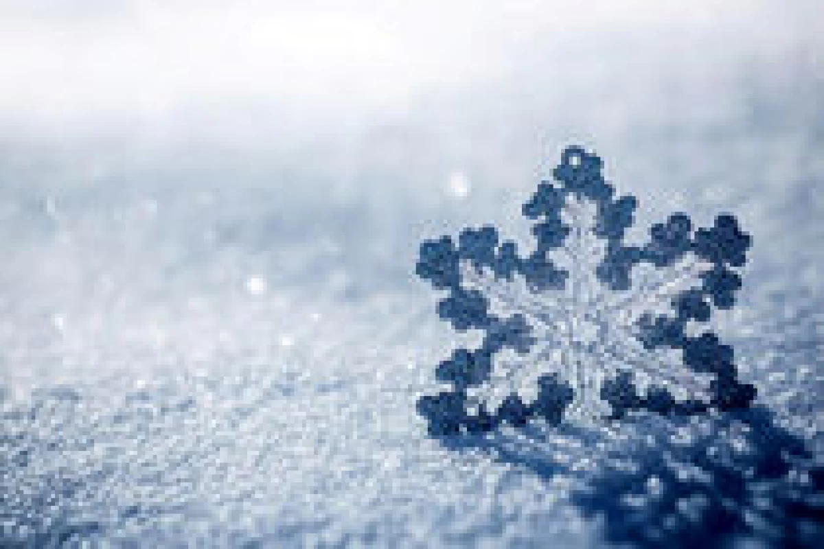 عکس چرا حیوانات به خواب زمستانی میروند؟