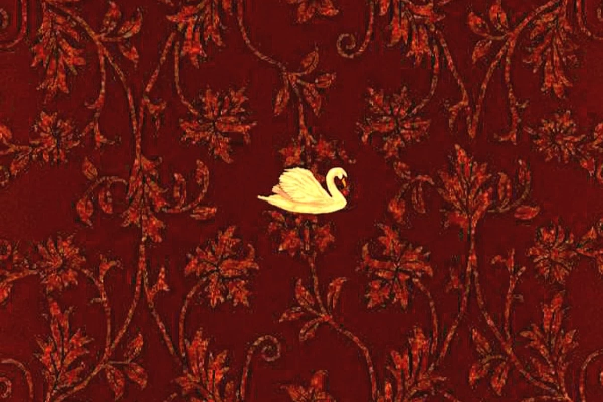 عکس ارغوان🌺