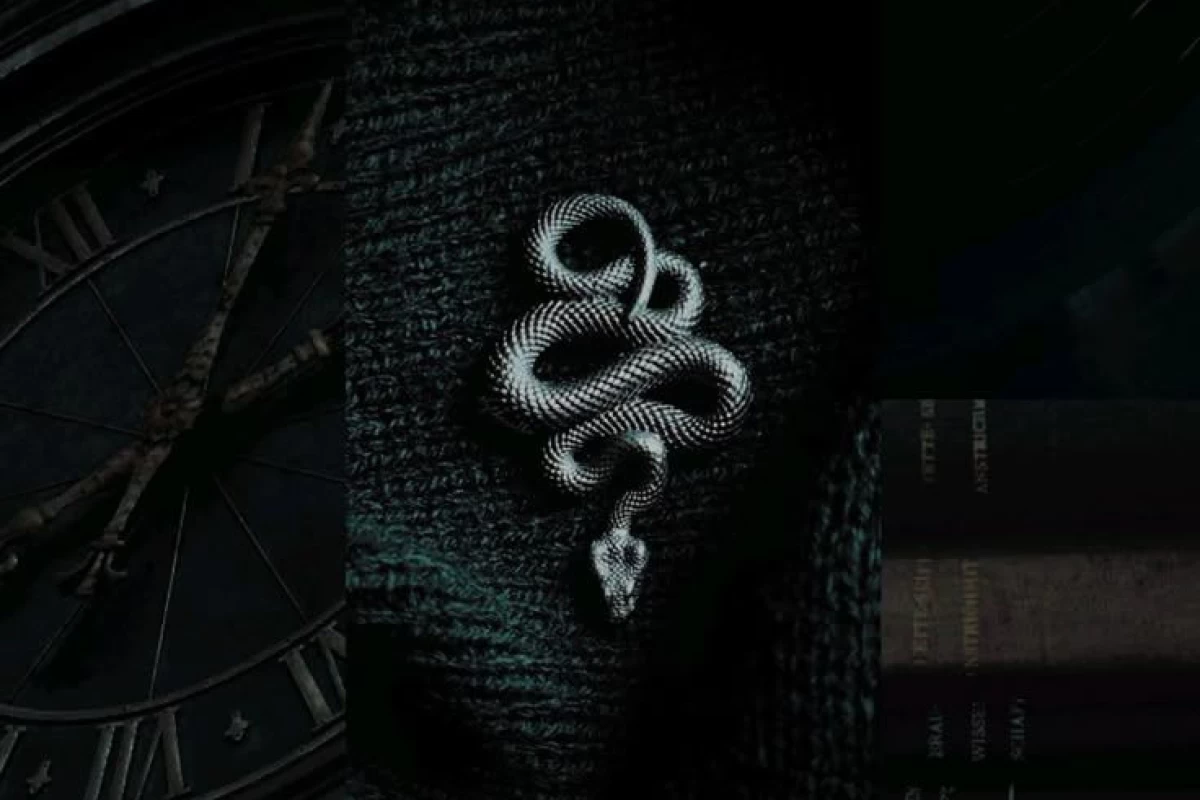 عکس معرفی رمان𝑪𝒖𝒓𝒔𝒆𝒅 𝑳𝒐𝒗𝒆✨