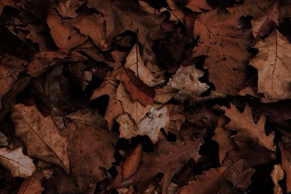 عکس Hαყҽσɳ𔓘