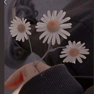 عکس شما در کدام ژانر فیلم زندگی می‌کنید؟