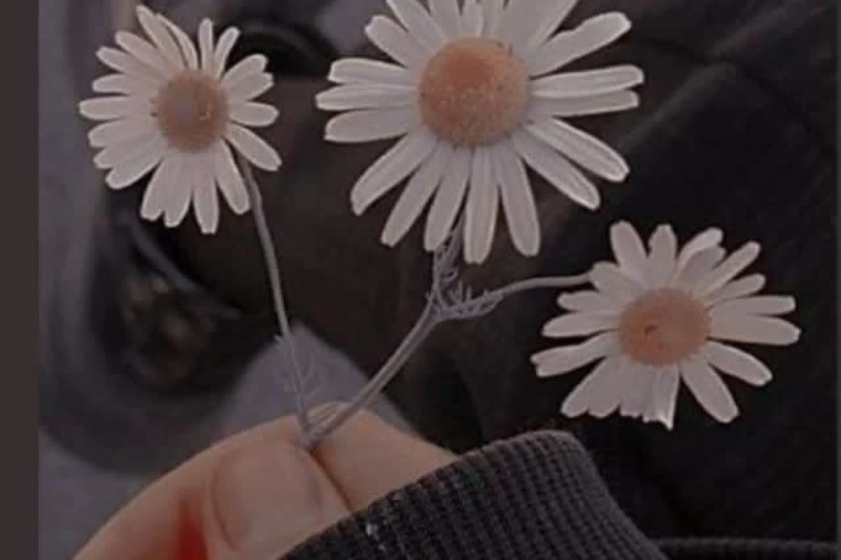 عکس شما در کدام ژانر فیلم زندگی می‌کنید؟