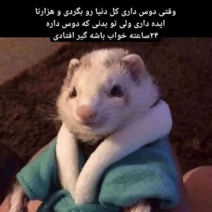 کاور