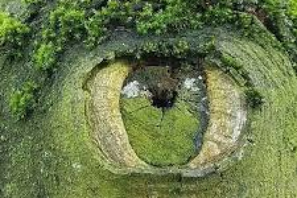 عکس دانستنی جالب (☆^ー^☆)