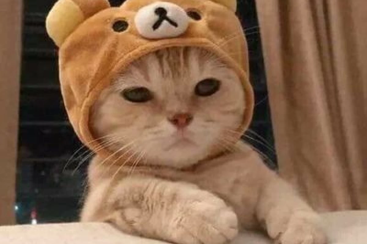 عکس تو بایست xعه*BP.ver*