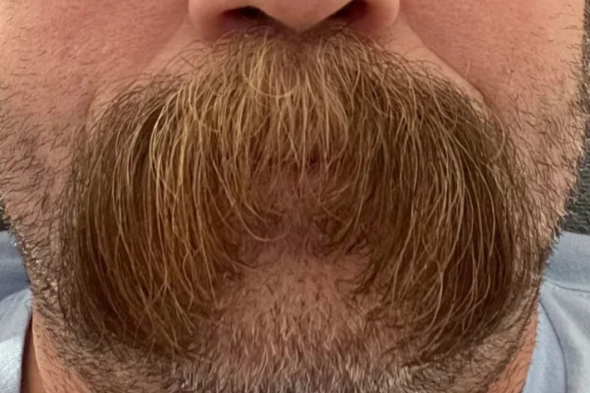 عکس «سبیل والروسی: تاریخچه، فرهنگ و شخصیت»