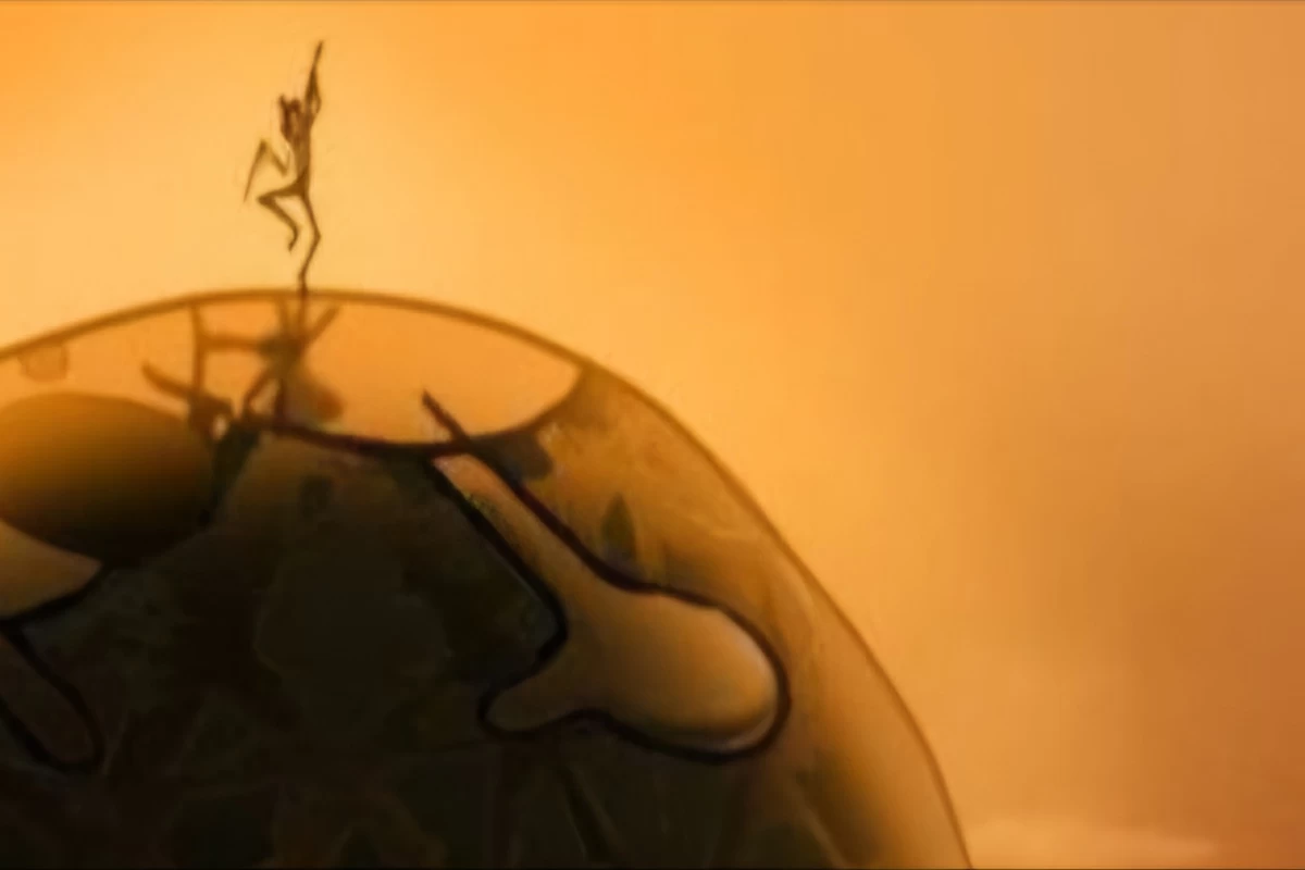 عکس جایی که دریا آزادی را معنا می کند