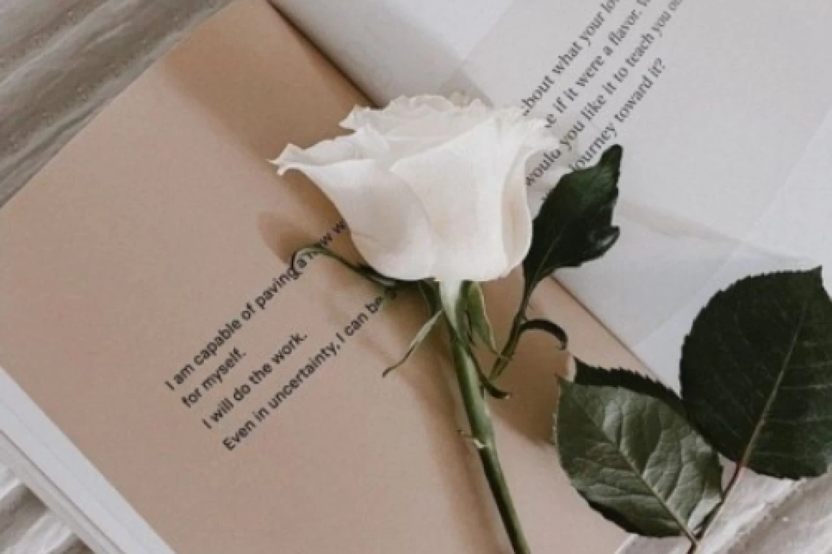 عکس اگر این ۵ کتاب را دوست داری، احتمالاً این خصوصیات را داری!