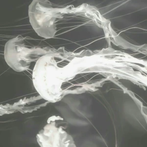 عکس آخرین بار در آغوش یک غریبه