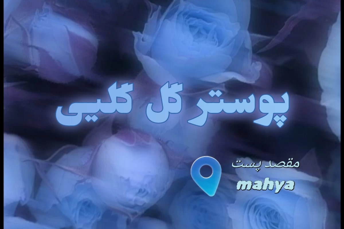 عکس 🫐•اومدی تستچی و میبینی...