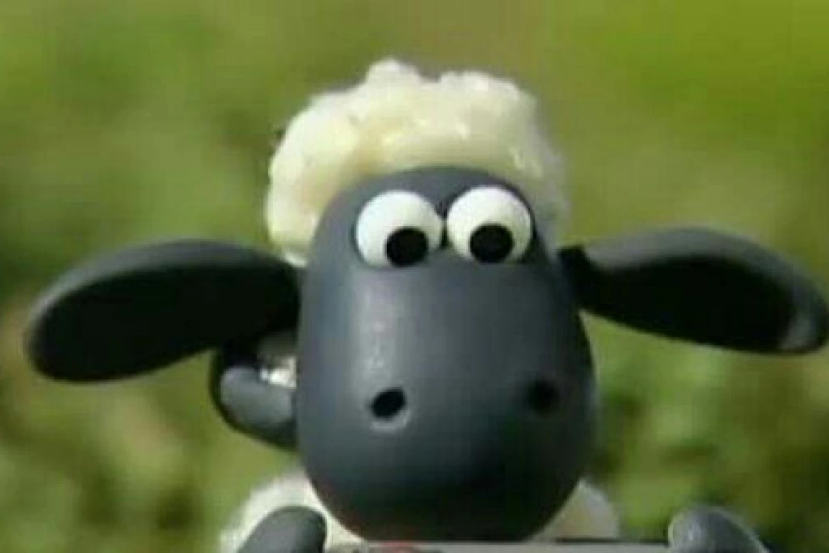 عکس زندگی وقتی ....