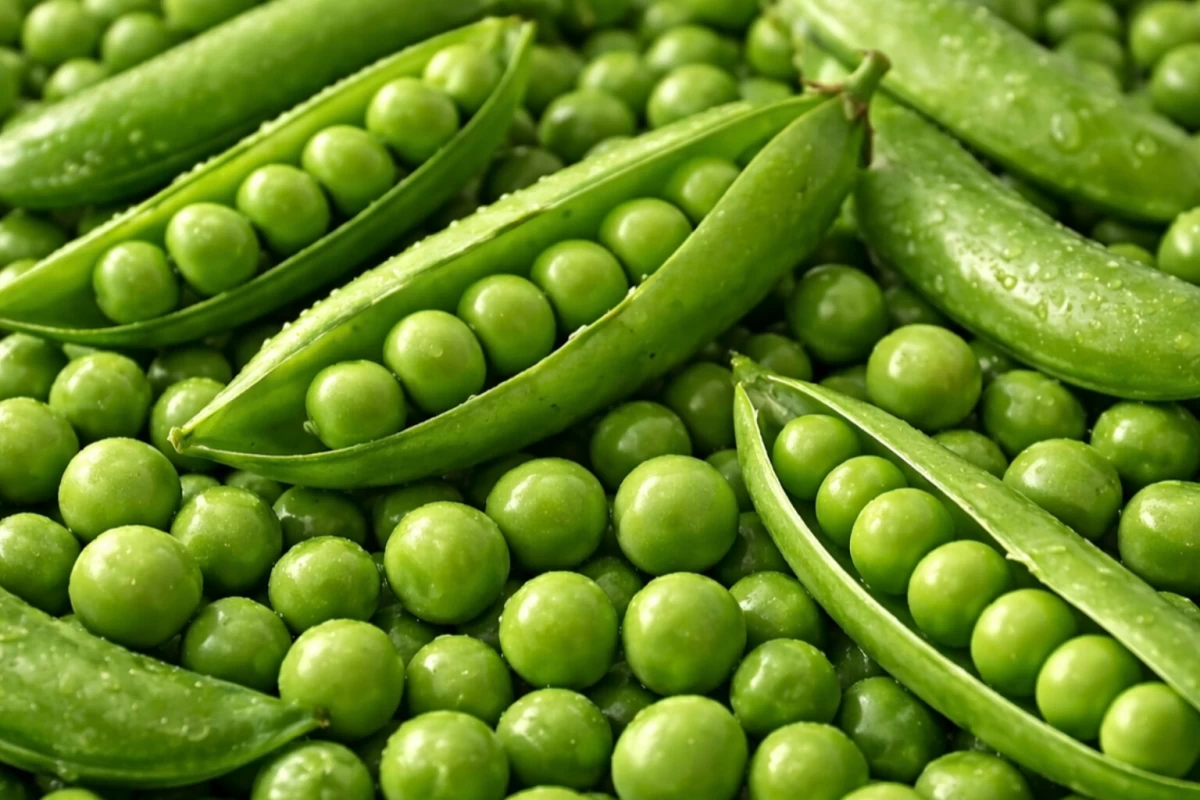 عکس 💭 میم قسمت اول