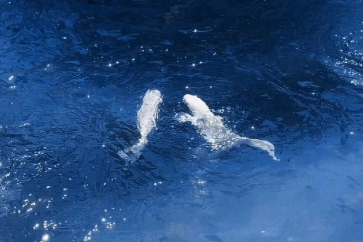 عکس از همه تایپ‌ها هر مدلی☆