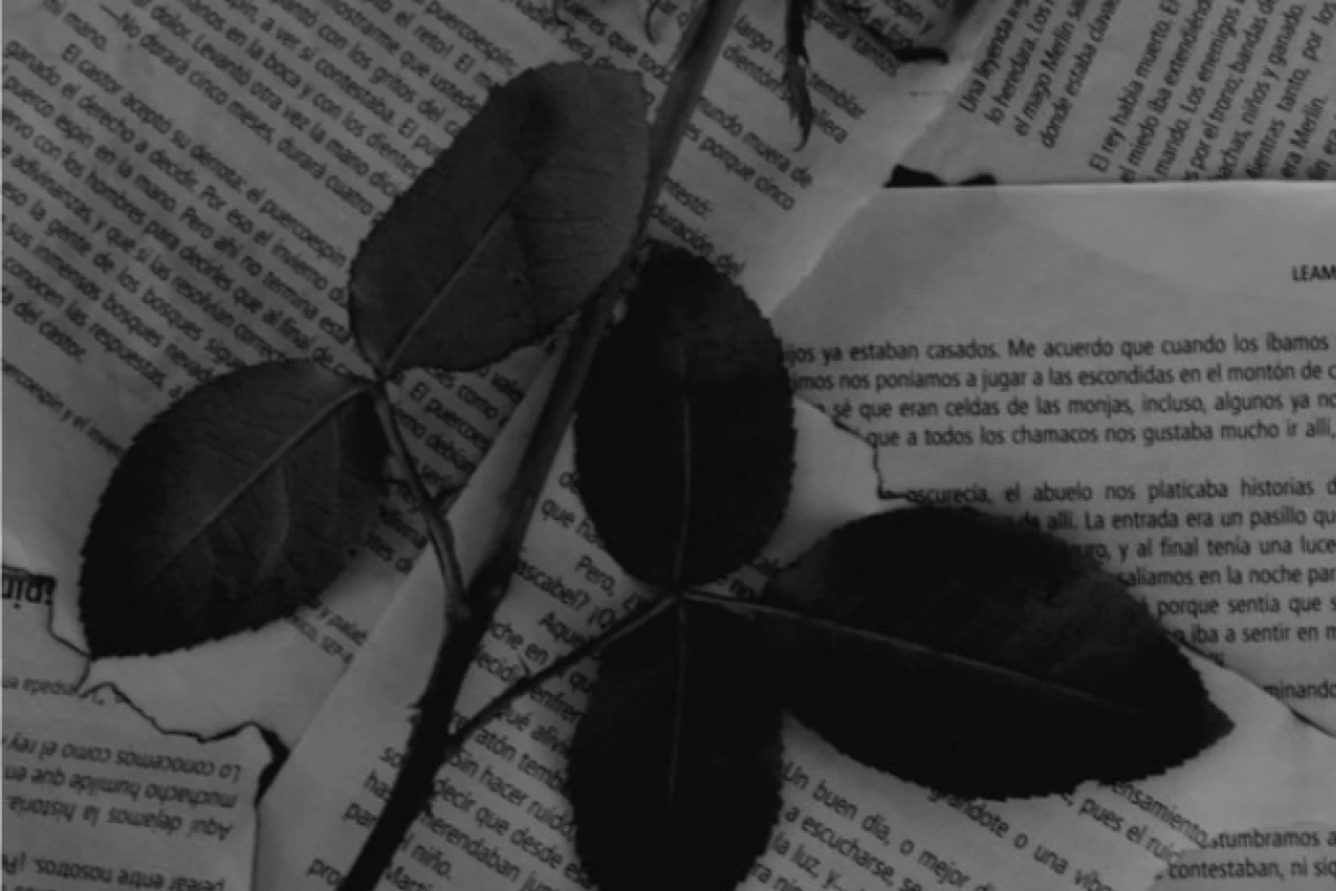 عکس کتاب های که حتما باید بخونی (ورژن جنایی)