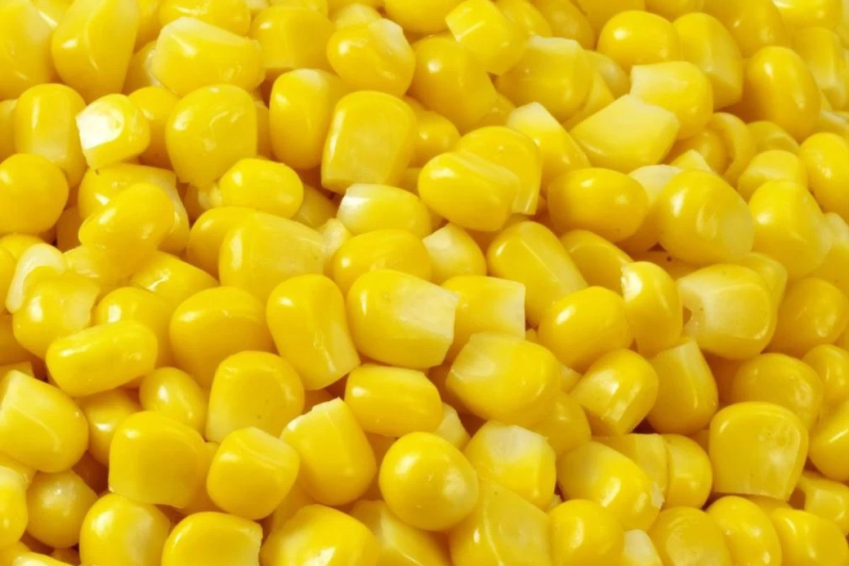 عکس انواع رنگ زرد