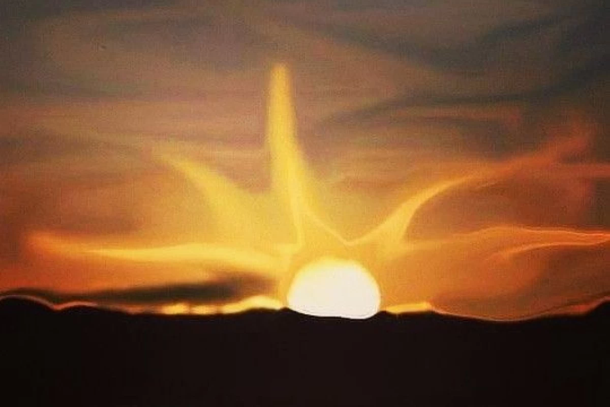 عکس زندگی بدون نور خورشید