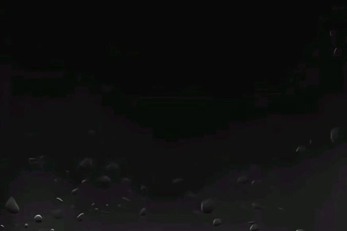 عکس اندامک ها در سلول جانوری ( پایه ی هفتم ) 😅