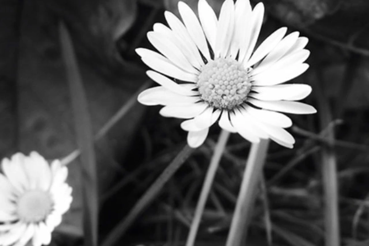 عکس مرگ بار ترین مد های زنانه تاریخ؛ زجر کشیدن برای به چشم آمدن!