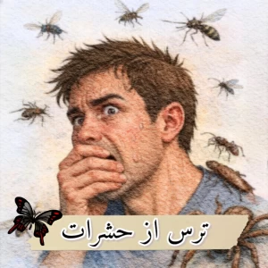 کاور
