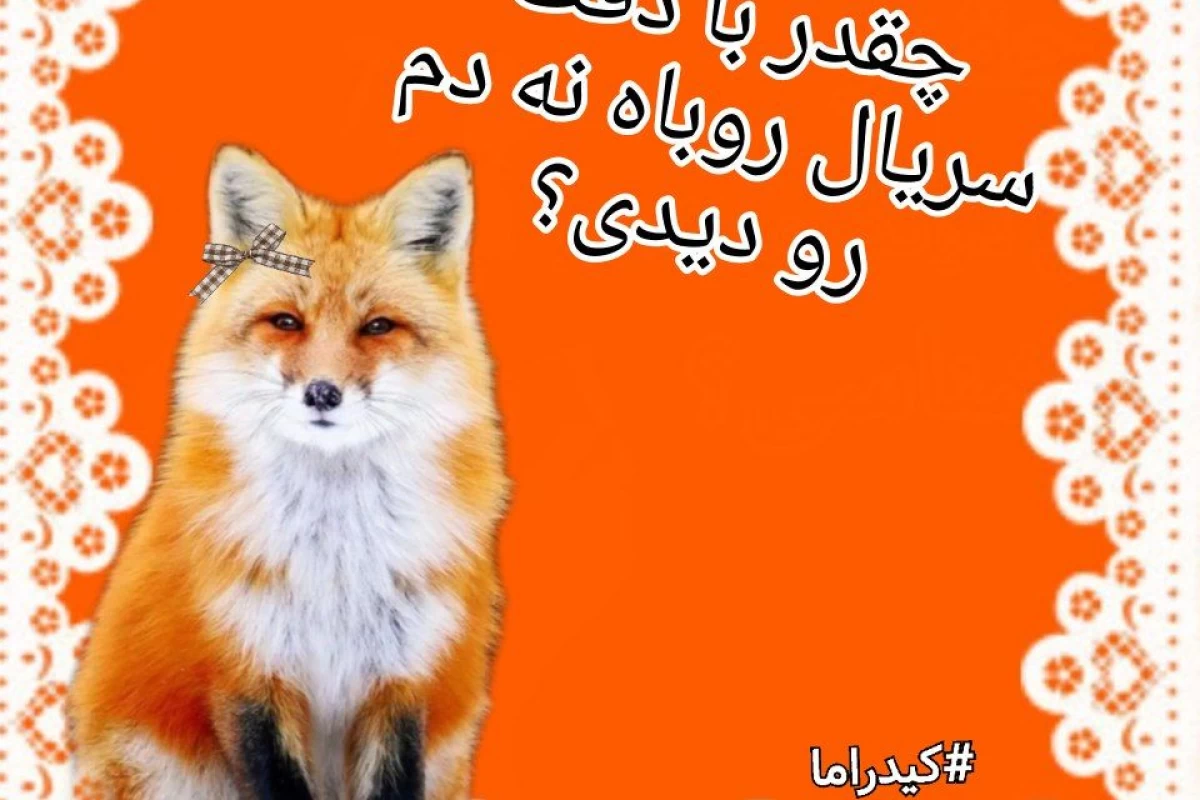 عکس چقدر با دقت سریال روباه نه دم رو دیدی؟