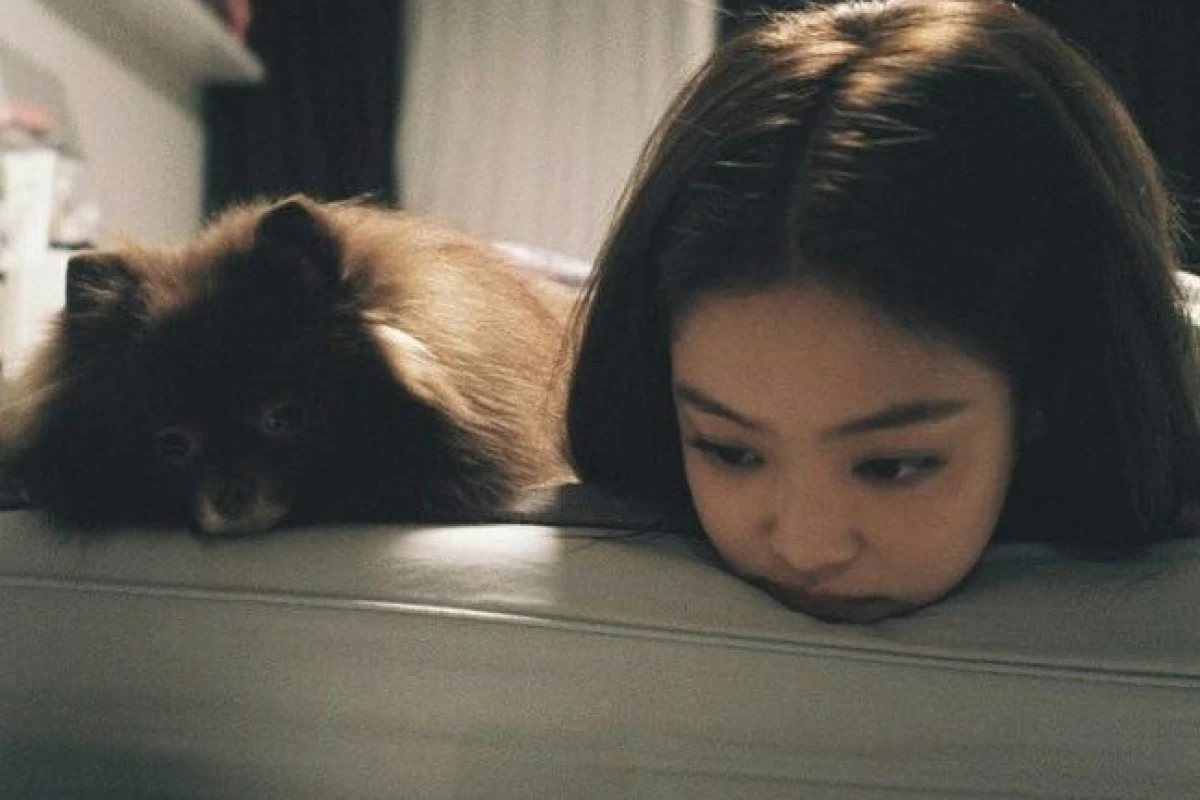 عکس رتبه بندی استایل(Blackpink)