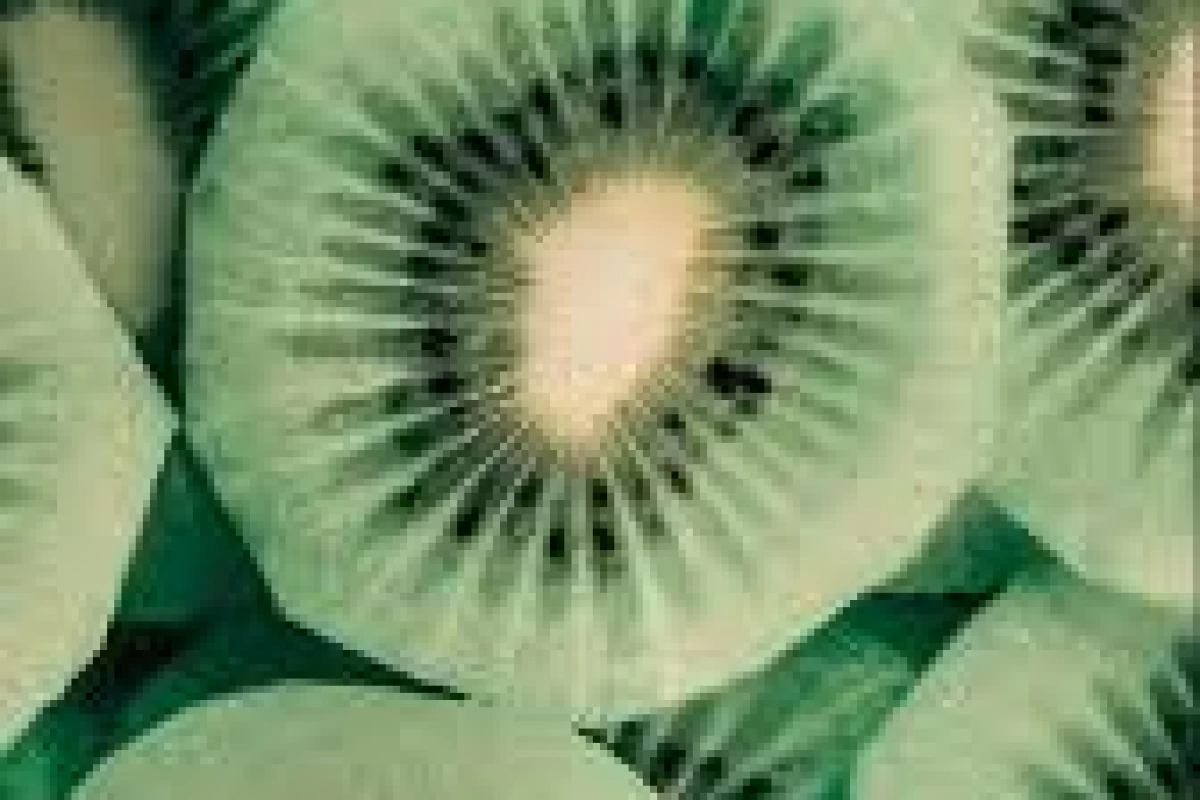 عکس ۵۰۰۰km