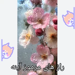 عکس راز های مرموز آینه...
