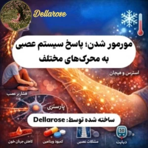 عکس مورمور شدن؛ پاسخ سیستم عصبی به محرک‌های مختلف