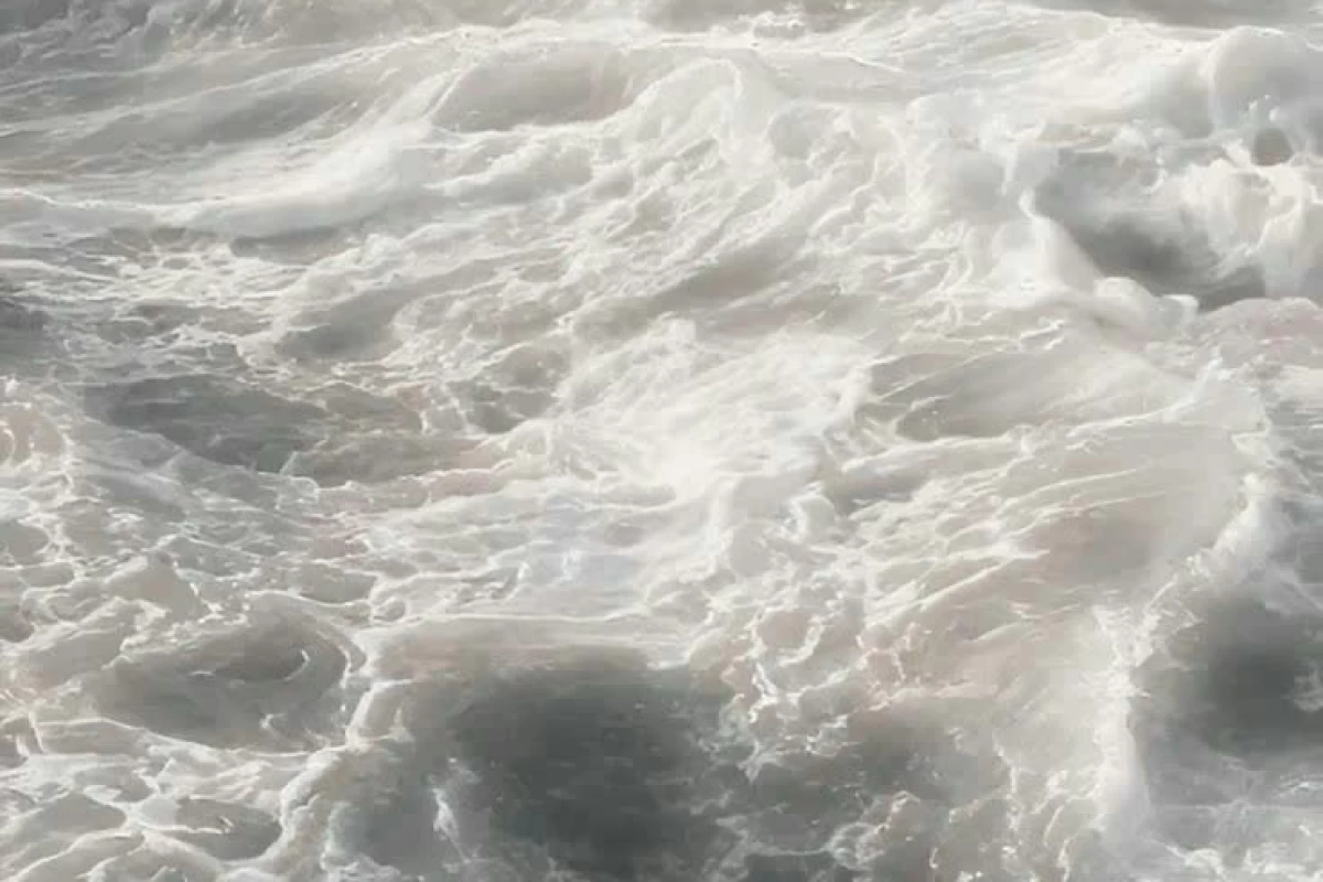 عکس عمرا از X خوشم بیا-...