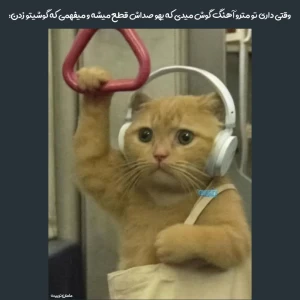 توییت