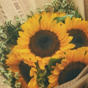تست گل ها به زبان ترکی