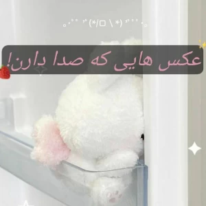 عکس عکس هایی که صدا دارن!