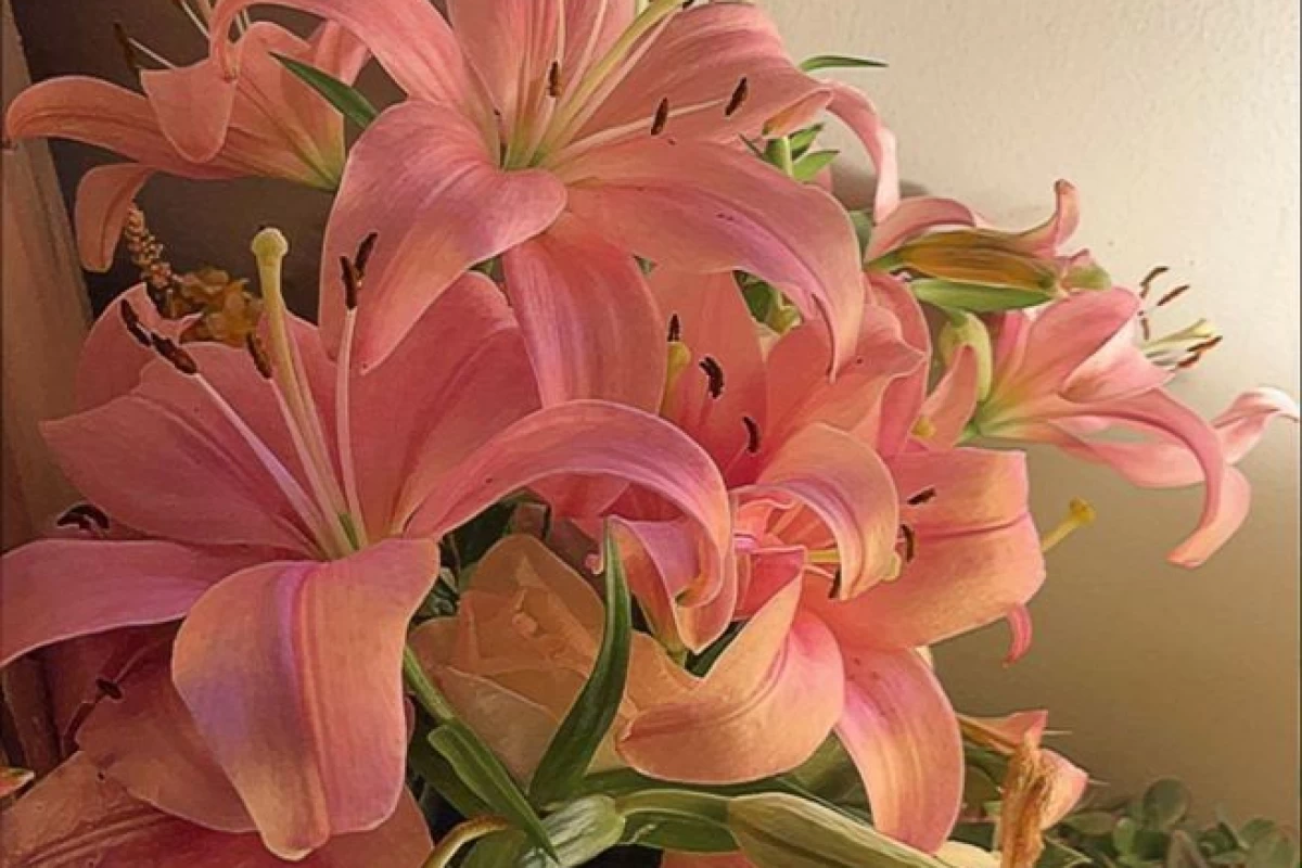 میدونستی؟ ۳۷۵