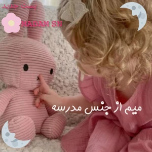 عکس میم از جنس مدرسه