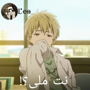 عکس نت ملی؟!