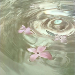 عکس {افکار یک خل و چل}
