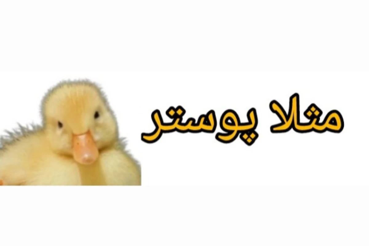 عکس وضعیت تستچی زمان جنگcore: