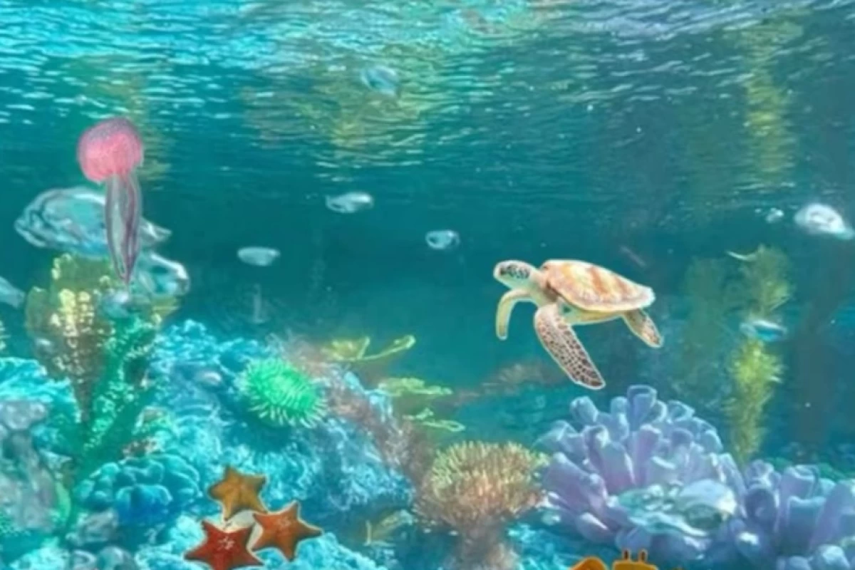 وسایل مهم و نکات برای شنا کردن حرفه ای