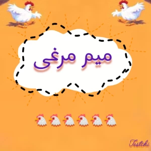 عکس میم های مرغی🐔