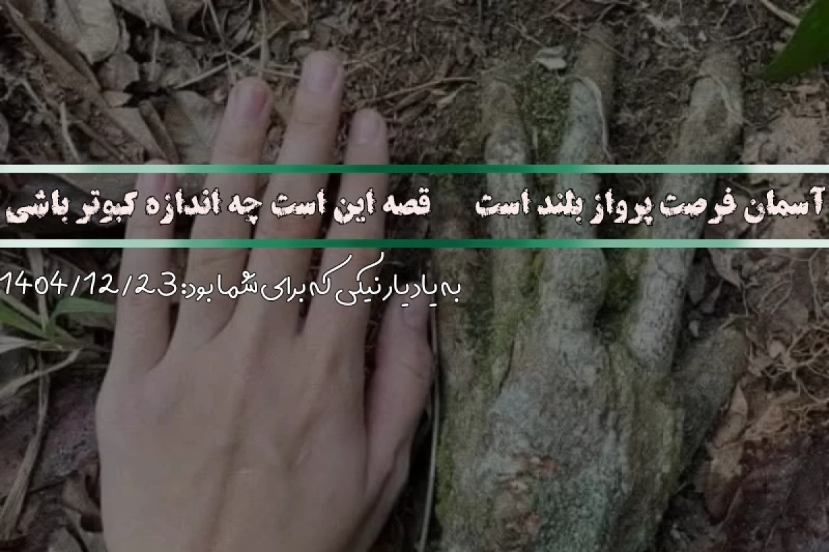 عکس تست کشف توانایی قضاوت