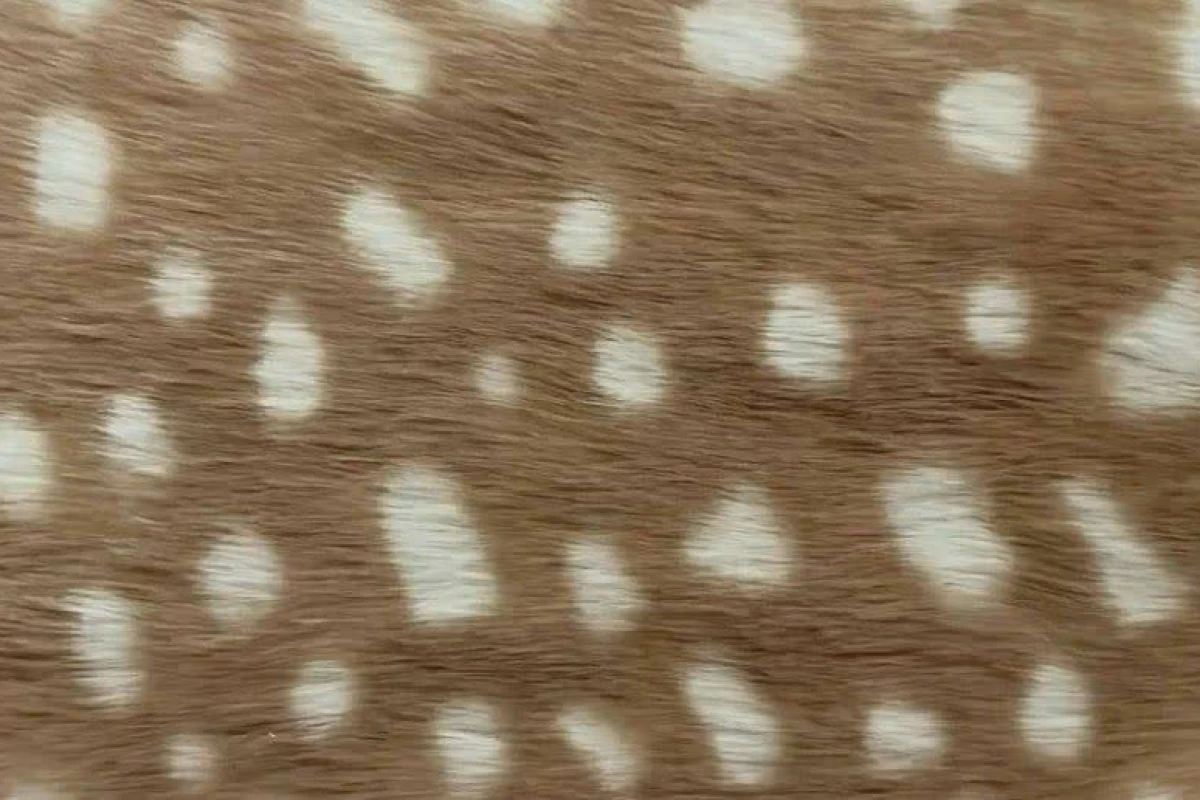 عکس کاهش سم های ذهنی !